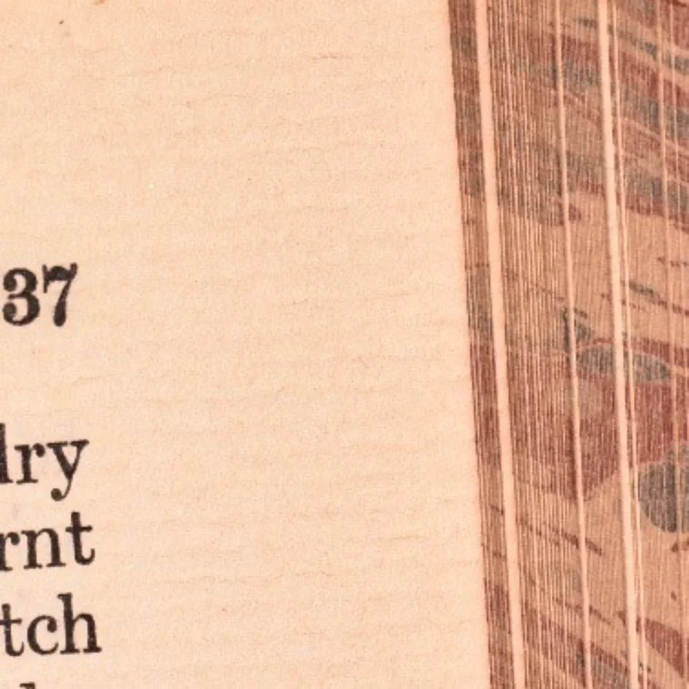 CHARLES Dickens - Rare 1930s Edition of The Pickwick Papers | Vintage Classic - Picture 7 of 9